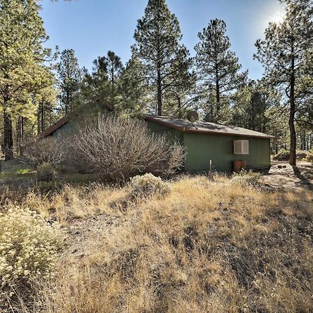 Family-Friendly Forested Home With Snow Play Area! Flagstaff Extérieur photo