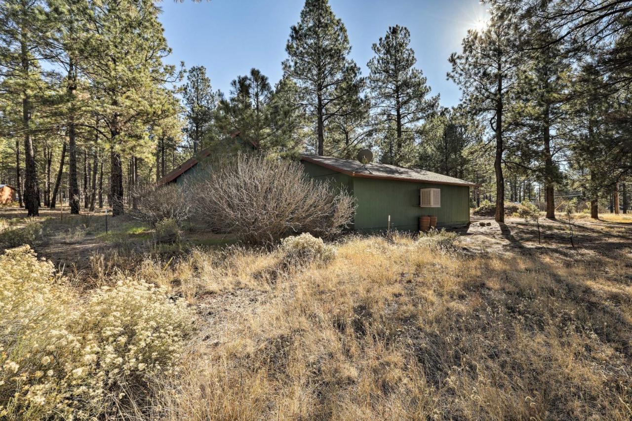 Family-Friendly Forested Home With Snow Play Area! Flagstaff Extérieur photo