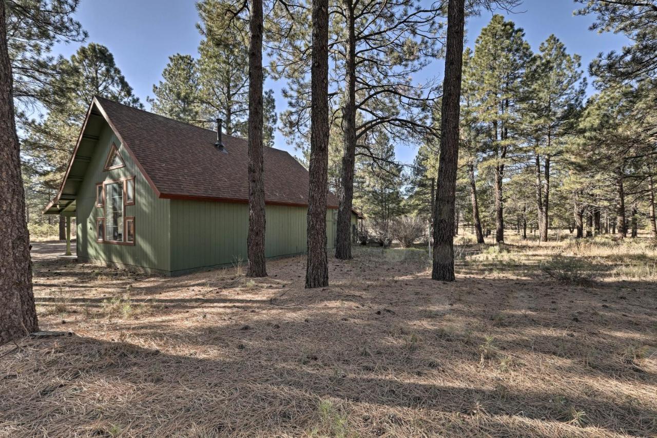 Family-Friendly Forested Home With Snow Play Area! Flagstaff Extérieur photo